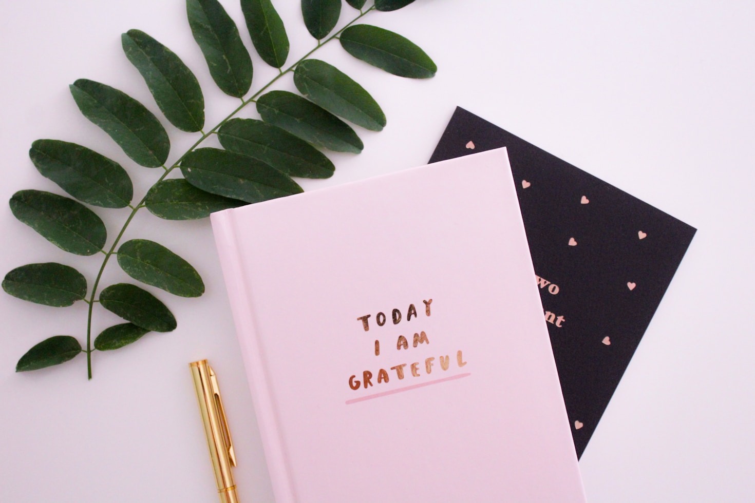 The Power of Gratitude: A Personal Journey